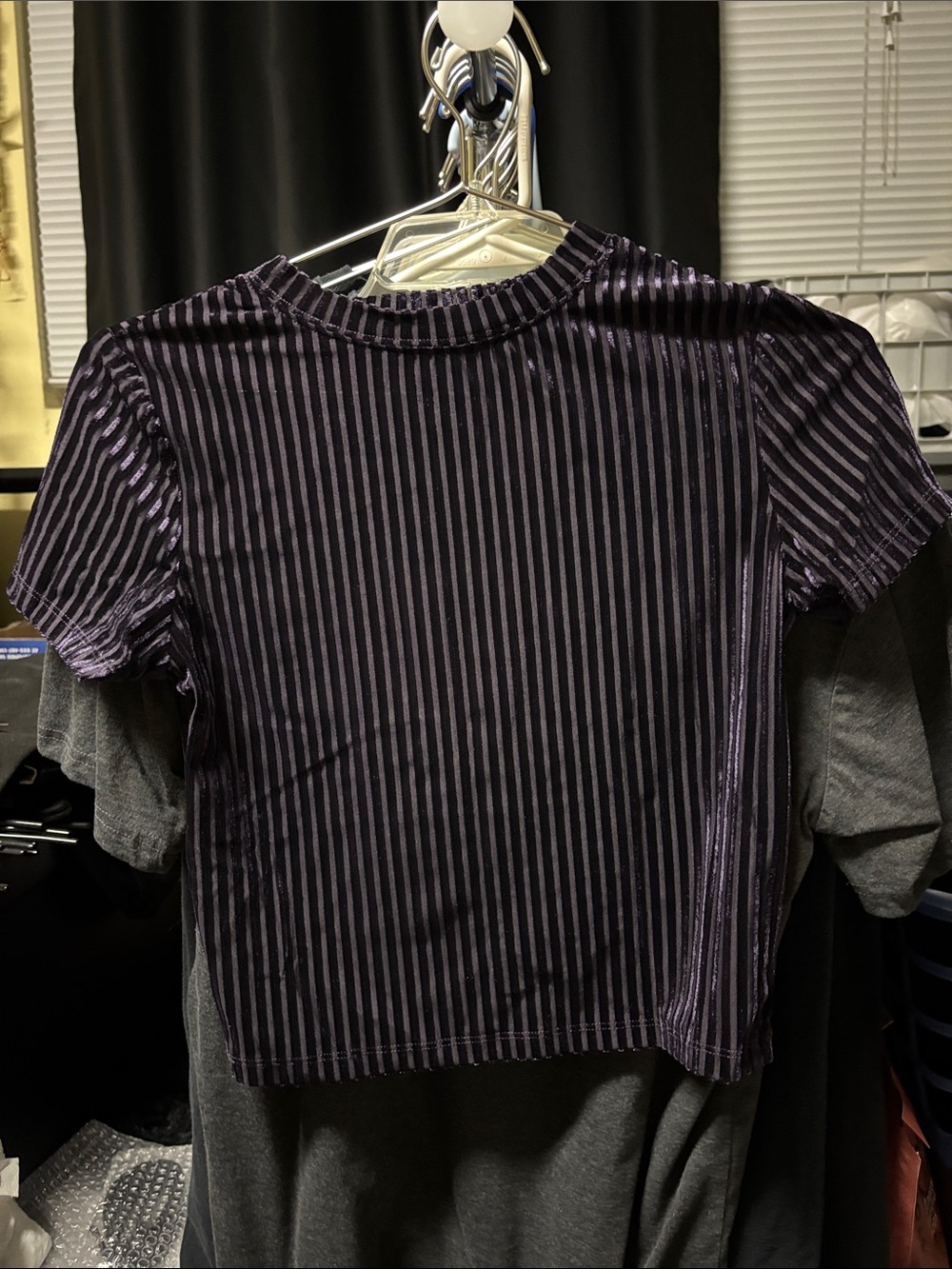 Disturbia Purple Striped Velvet Short Sleeve Tee